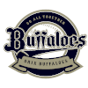 Orix Buffaloes